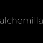 Alchemilla